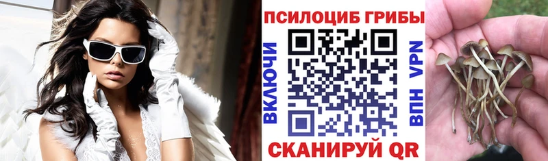 OMG зеркало  Ленинградская  Псилоцибиновые грибы прущие грибы 
